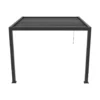 Aanleunende pergola SERADO - 304 cmx308 cmx220 cm - Antracietgrijs Metaal