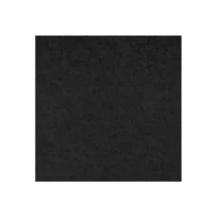 Akoestisch wandpaneel PET-vilt - 100x100 cm - Zwart