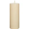 Anna's Collection LED kaars - ivoor wit - 8 x 22 cm - stompkaars