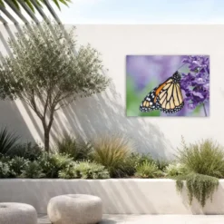 Art for the Home Buitencanvas Vlinder 70x50cm