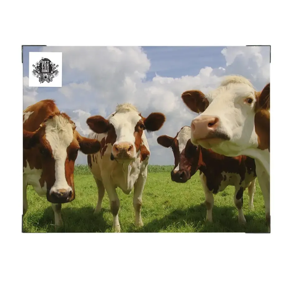 Art for the Home Buitencanvas Koeien 70x50cm