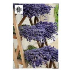 Art for the Home Buitencanvas Gedroogde Lavendel 70x50cm