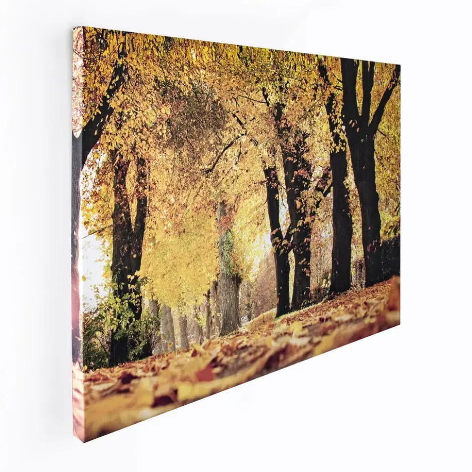 Art for the Home Herfst Canvas 75x100cm