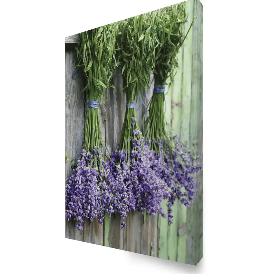 Art for the Home Lavendel Buitencanvas 70x50 cm