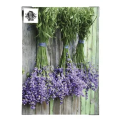 Art for the Home Lavendel Buitencanvas 70x50 cm