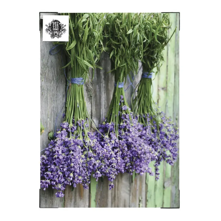 Art for the Home Lavendel Buitencanvas 70x50 cm