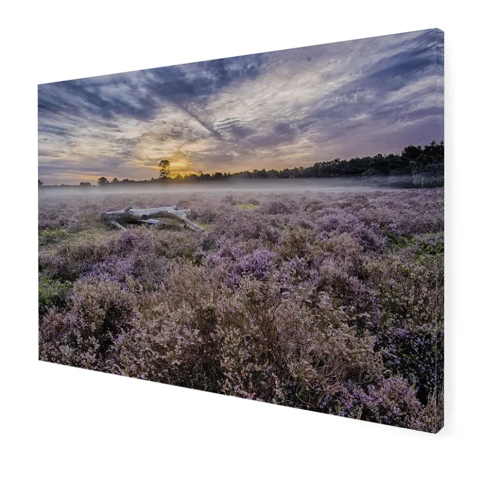 Art for the Home Lavendelveld Buitencanvas 50x70 cm