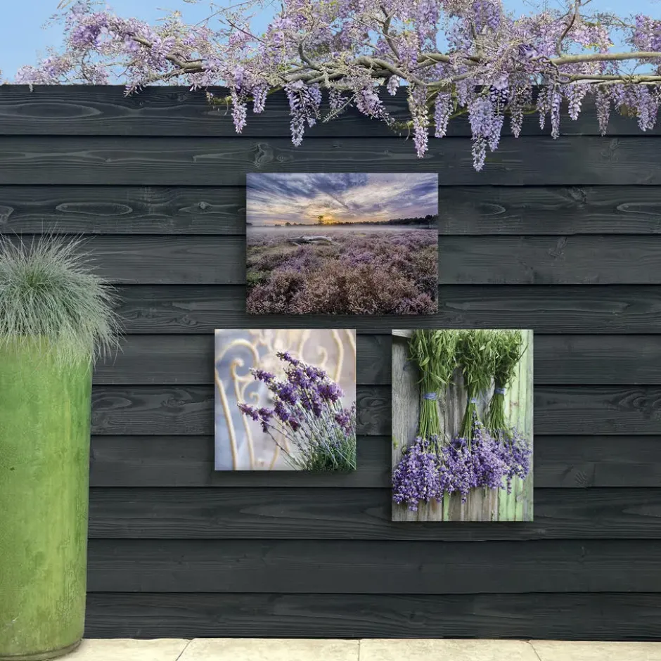 Art for the Home Lavendelveld Buitencanvas 50x70 cm