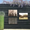 Art for the Home Vroege Vogels Buitencanvas Sepia 50x70 cm