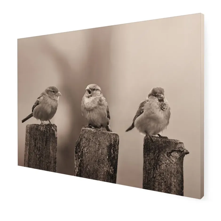 Art for the Home Vroege Vogels Buitencanvas Sepia 50x70 cm