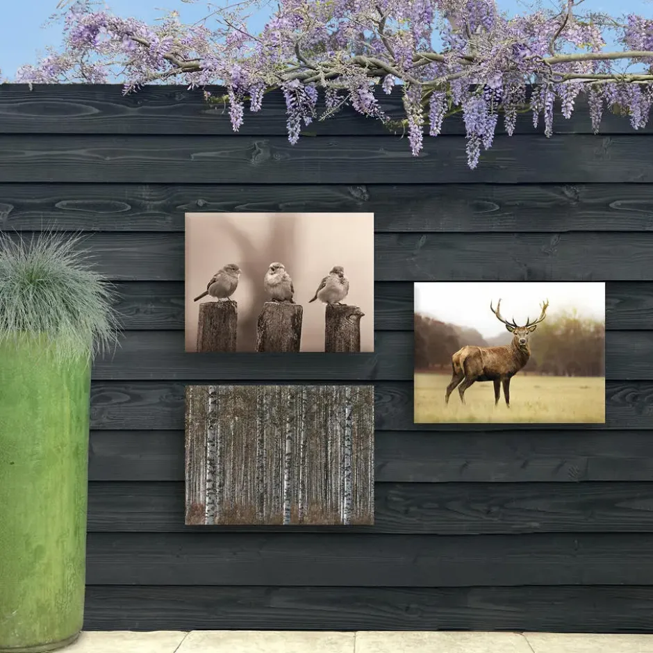 Art for the Home Vroege Vogels Buitencanvas Sepia 50x70 cm