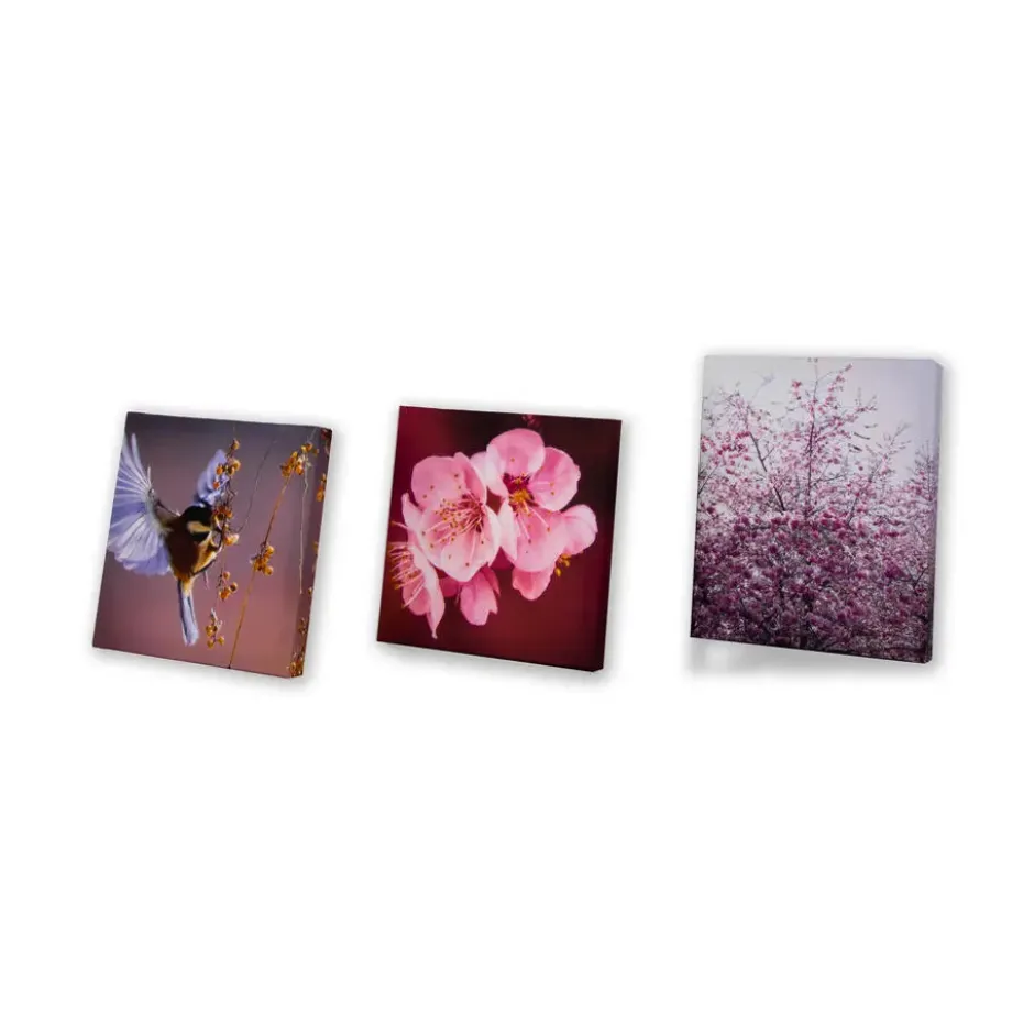 Art for the Home Zee van Bloemen Canvas Set van 5 80x60 cm