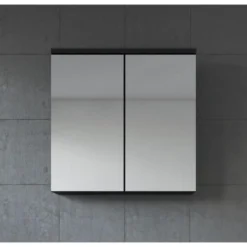 Badplaats Spiegelkast Toledo 60 x 20 x 60 cm - mat zwart
