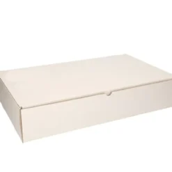 Bellatio Decorations Sorteerdoos - 54 x 32 cm - met 15 vakjes
