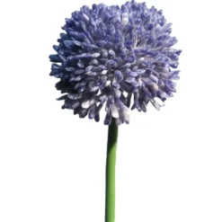 Bellatio Design Allium kunstbloem - stelen - paars - 44 cm