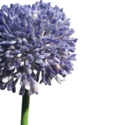 Bellatio Design Allium kunstbloem - stelen - paars - 44 cm