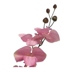 Bellatio Design Kunstbloem Orchidee Milan - roze - 78 cm