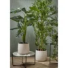 Bellatio Design Kunstplant Philodendron - groen - 100 cm - zwarte pot