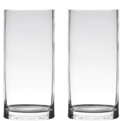 Bellatio Design Vaas Home Basics - cilinder - glas - 12 x 35 cm
