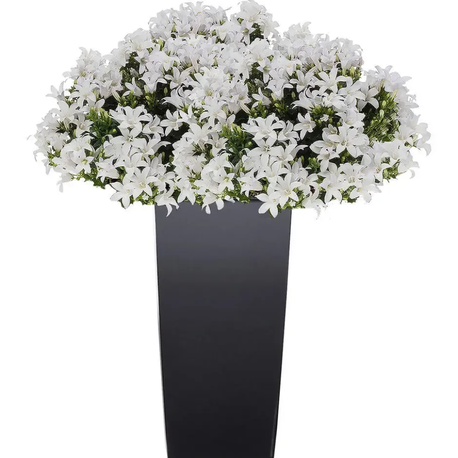 Bloempot/plantenpot Urbi - antraciet - 24 x 24 x 45 cm