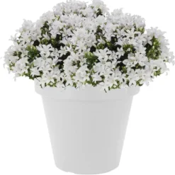 Bloempot - wit - kunststof - rond - 30 cm