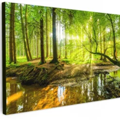 Canvas Schilderij 120x80 cm Bos - Landschap - Water - Bomen - Zon - Groen -