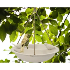 Decoris Vogelbad - bamboe hout - wit - drinkschaal - 27 cm