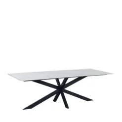 Eettafel Edin 210x100 cm marmerlook wit - Stoneware - Wit