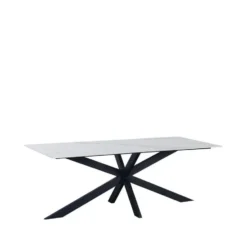 Eettafel Edin 170x90 cm marmerlook wit - Stoneware - Wit