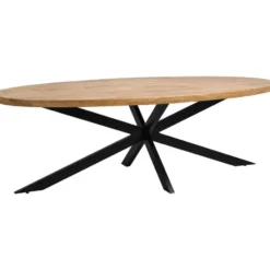 Eettafel Travis ovaal - mangohout - 78x200x100 cm