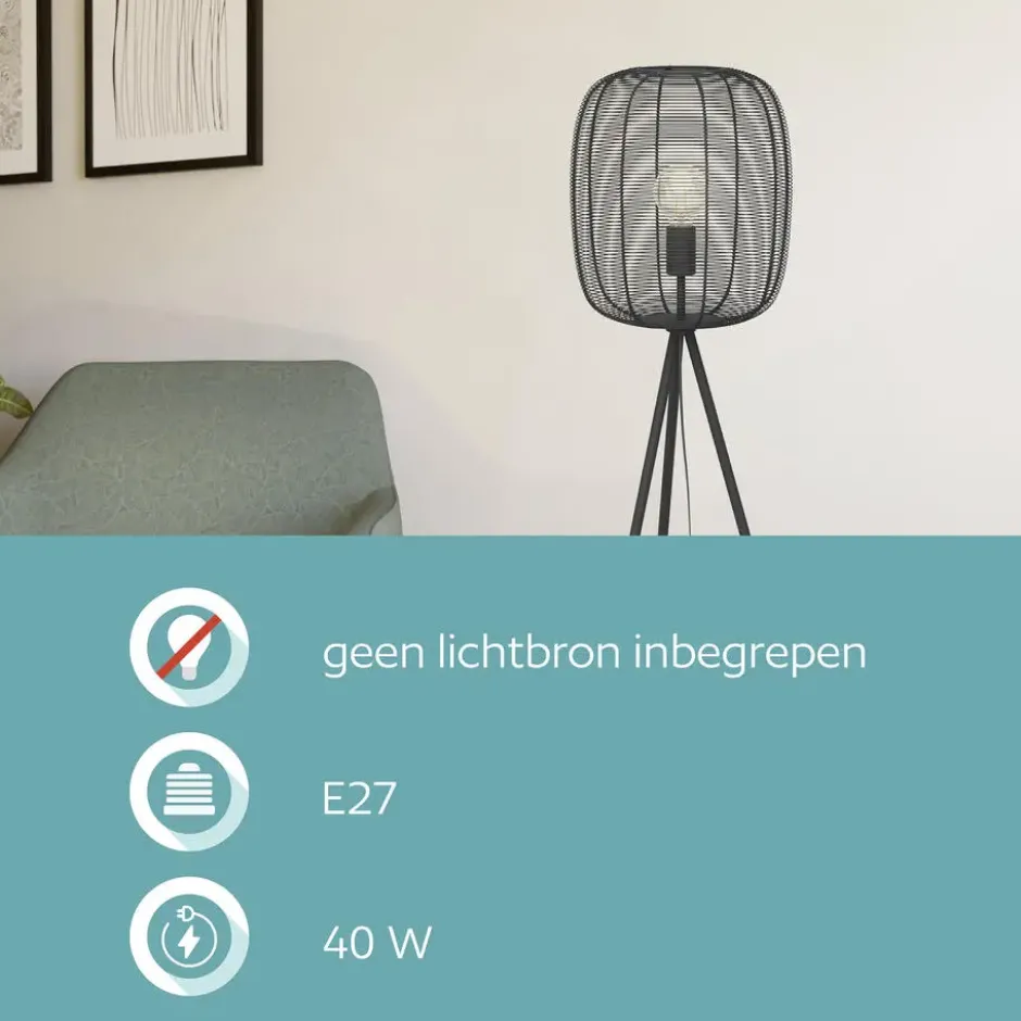 EGLO Derwen Vloerlamp - E27 - Metaal - Zwart