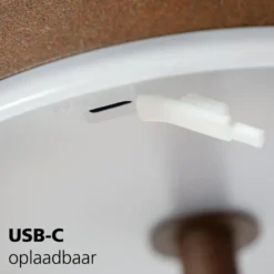 EGLO Mannera-L Staande lamp - USB-C - H 140 cm - Roestbruin