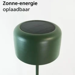 EGLO Roccanova-L Vloerlamp - Solar - 120 cm - Groen - Oplaadbaar