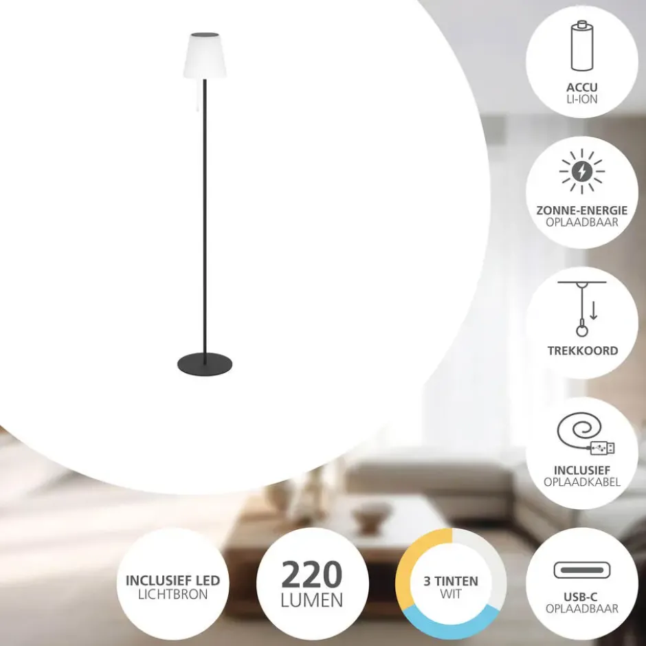 EGLO Scordiano-L Vloerlamp - Solar - 120 cm - Zwart