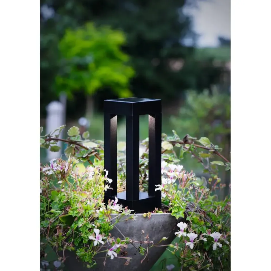 EGLO z_solar tuinverlichting zonne-energie - prikspot - LED - Zwart