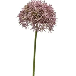 Emerald Emerald Allium/Sierui kunstbloem - lila - 62 cm