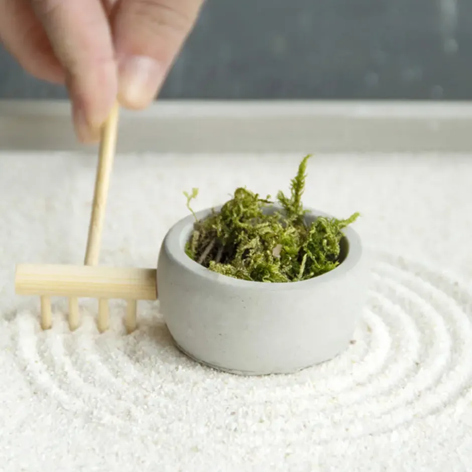 Esschert Design Japanse zen tuin - thuis/kantoor - 20 x 20 cm