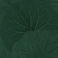 ESTAhome behang - grote bladeren - emerald groen - 0.53 x 10.05 m
