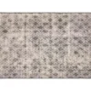 Eva Interior Buiten vloerkleed - Frost - Grijs/Wit- 160x230 cm