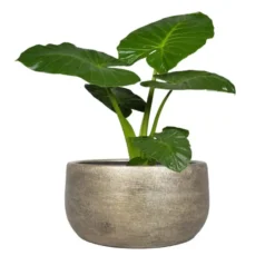 Floran Bloempot - industrieel goud - keramiek - binnen - 34 x 15 cm