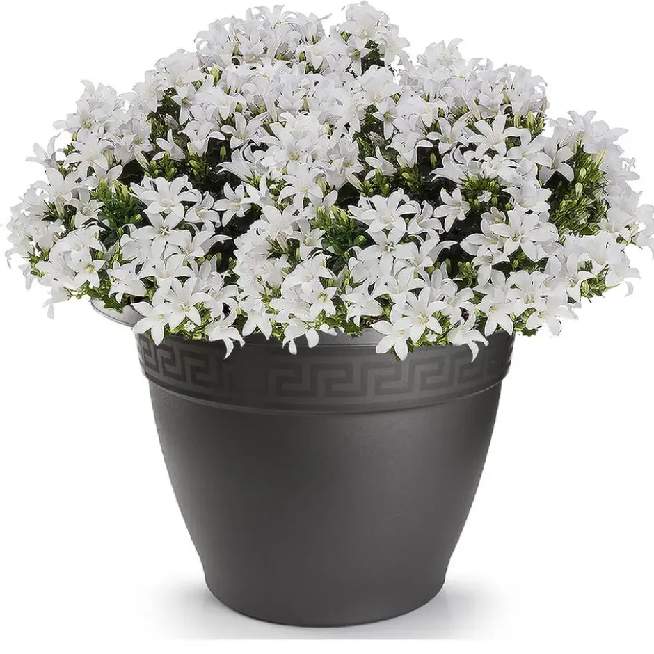 Forte Plastics Bloempot - antraciet - rond - kunststof - 60 cm