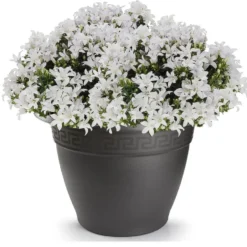 Forte Plastics Bloempot - antraciet - rond - kunststof - 60 cm