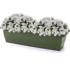 Forte Plastics Plantenbak - groen - rechthoekig - 60 x 20 x 16 cm