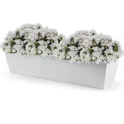 Forte Plastics Plantenbak - wit - rechthoekig - 60 x 20 x 16 cm