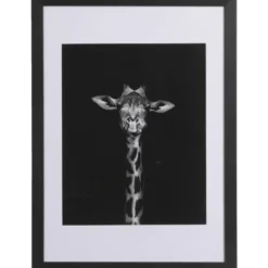 Fotolijst Haarlem - zwart - 50x70 cm