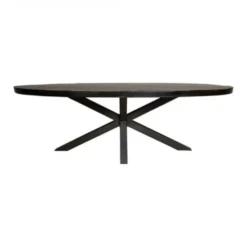 Furndea Eettafel Morada industrieel ovaal mangohout zwart 240x110x76cm