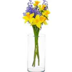 Giftdecor Bloemenvaas - transparant glas - D15 x H30 cm