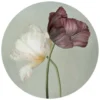 Glasschilderij Tulpen - Ø 70 - Groen