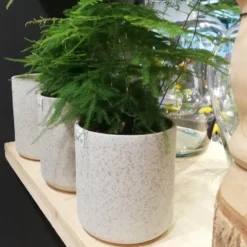 Hakbijl Plantenpot/bloempot Cindy - wit - keramiek - D17xH17 cm