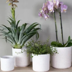 Hakbijl Plantenpot/bloempot Cindy - wit - keramiek - D17xH17 cm
